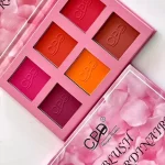 CPD Extraordinaire 6in1 Blush Palette